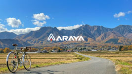 Araya�\��